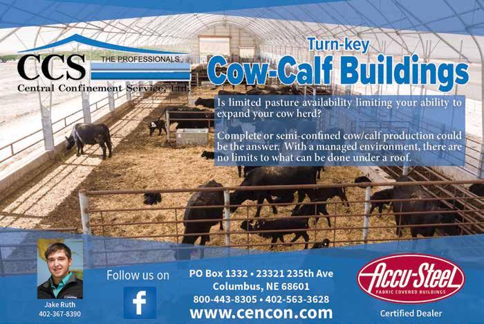 BULL BUYER S GUIDE 3th Annual Blue River Gang Sale - Sunday, February 4th Definitions of Terms Expected Progeny Differences (EPDs): EPDs are the most accurate and effective tool available for