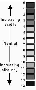 The degree of acidity and alkalinity of a substance is measured on a ph scale. The scale is numbered from ph0 ph14. ph7 is neutral. This means it is neither acid nor alkaline.