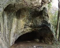 In Hohle Fels excavations are still in progress. Like the Geißenklösterle Cave, it has been extensively explored.