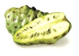 Polynesia In Tahiti the fruit was favored to maintain the young and healthy for over 2000 years Vitamins, minerals, dietary fiber and fatty acids contained in NONI triple the volume in