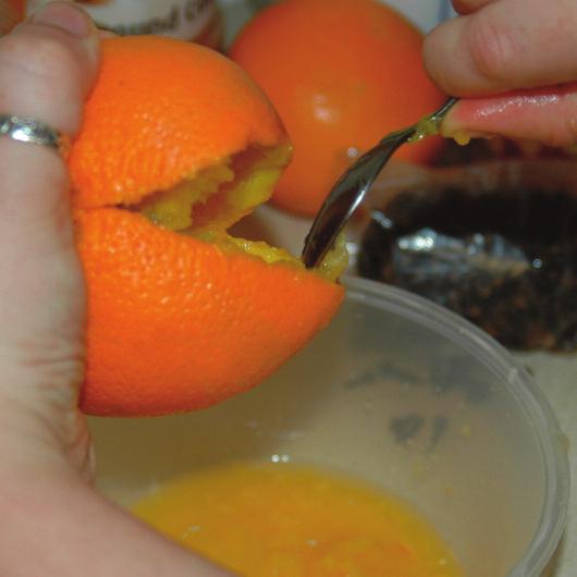 It s a good idea to wear old clothes or an apron when you are mummifying an orange as it is a mucky and sticky activity!