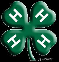 Harris County 4-H Fashion Show Information Packet Saturday,