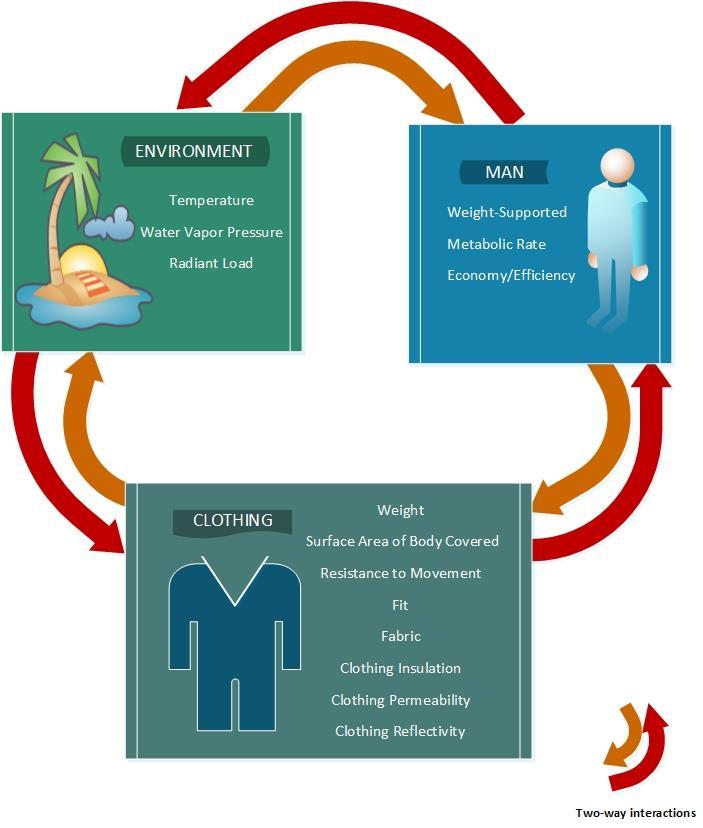 Figure 1- The interaction of the three components of a work system. The ergonomic variables in functional clothing (Bishop et al.