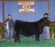Worth, Ozark Empire Fair, Tulsa) $400 Grand Champion Heifer $300 Reserve Grand Champion Heifer $200 Division Winner $150 Reserve
