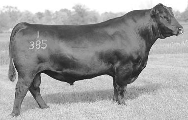 Sire A Born: 2-11-11 Reference Sires VERMILION PAEIGHT J847 BASIN PAEIGHT 006S BASIN PAEIGHT 1682 Reg. No.
