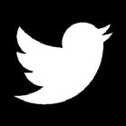 TWITTER FOLLOWER COUNTS YOY GROWTH Twitter Handle Aug 2014 Aug 2015 Followers YoY Growth @Chanel @LouisVuitton_US @MarcJacobsIntl @LouboutinWorld