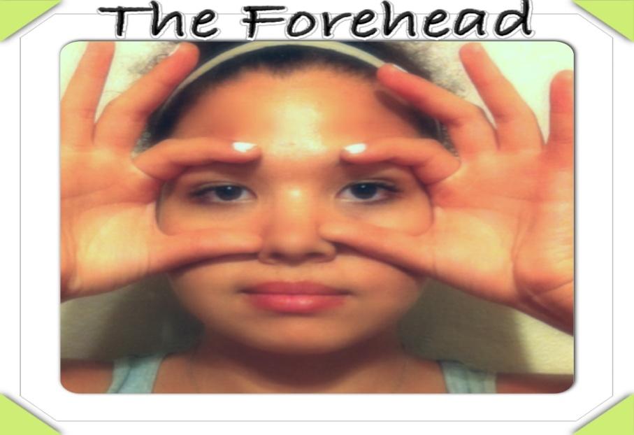 The Face Routine The Forehead This will help to smooth the lines on your forehead and between the eyebrows. 1.