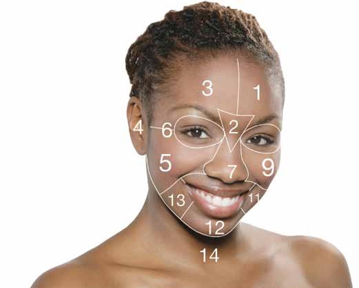 professional services face mapping skin analysis face mapping skin analysis zone-by-zone zone 7 nose and upper lip (between the nose and lips) Look and feel for congestion and broken capillaries.