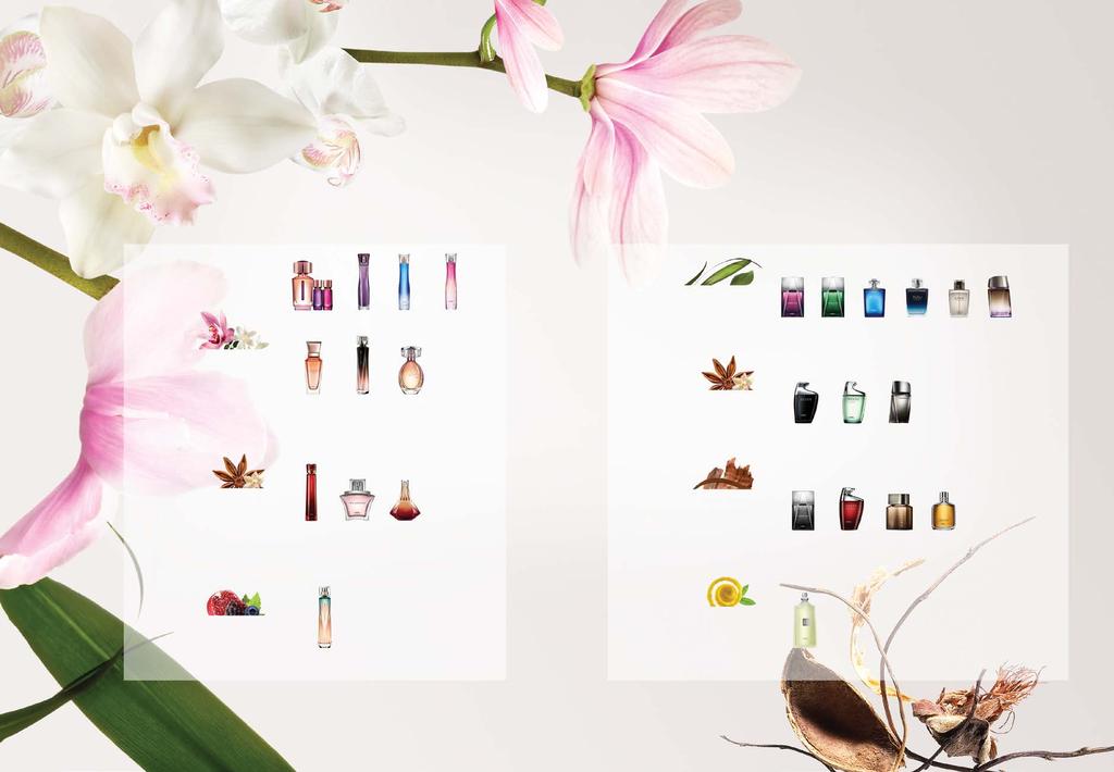 L Bel has the fragrance for you Look for your favorite olfactory family and find the complimentary notes you prefer.