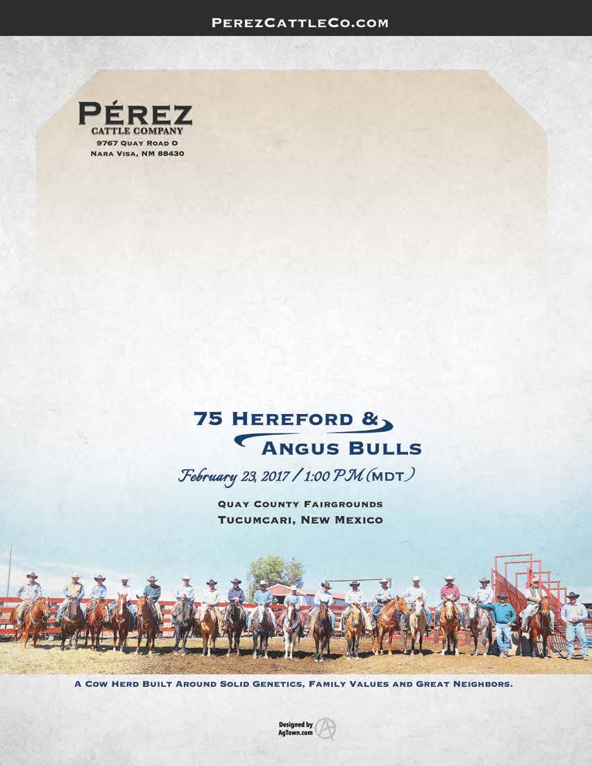 34 Pérez Cattle Company