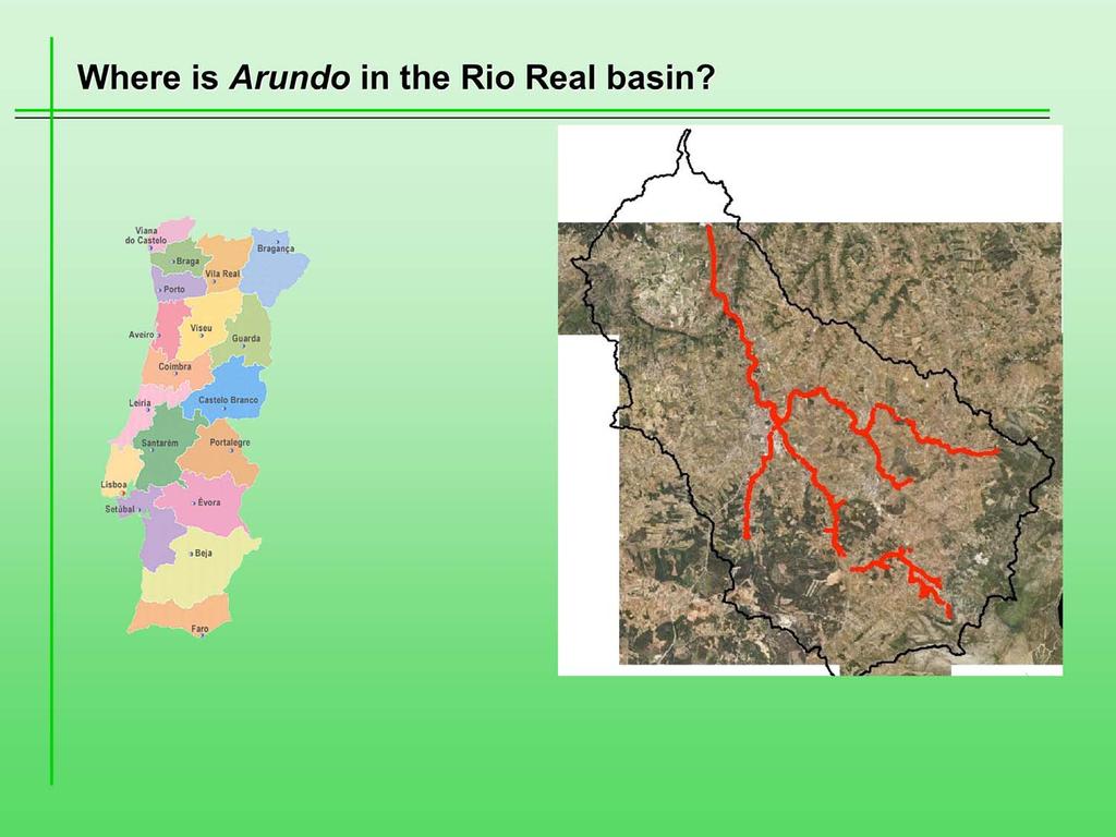 of streams (Rio Real and tributaries) 60% of