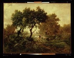 tif Creator(s): Théodore Rousseau (, 1812-1867) Title/Date: Forest of Fontainebleau, Cluster of Tall Trees Overlooking the Plain of Clair-Bois at the