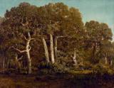 tif Creator(s): Théodore Rousseau (, 1812-1867) Title/Date: The Great Oaks of Old Bas-Bréau, 1864 Unframed: 90.2 116.8 cm (35 1/2 46 in.) Framed: 117.5 144.1 8.