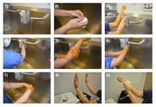 HISEPT HANDSCRUB Surgical Hand s Antiseptic Based On Chlorhexidine Digluconate 4% HiSept Hand Scrub is a Chlorhexidine-based hand scrub that displayed manifold