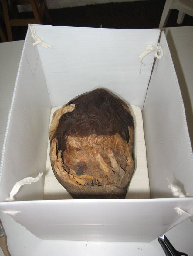There appears to have been a fur or hide placed across the eyes, and remains of this are well preserved. The dark hair on the skull is cut short and well preserved.