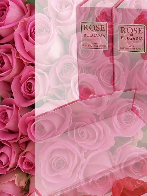 Rbg Paris, Rose of Bulgaria established in 2005 in Vexin sur Epte, France, is a new and modern manufacturing company owing its rapid and stable growth in recent years to a dynamic, young and