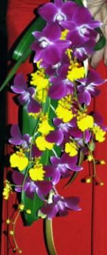 orchid bouquets, orchid