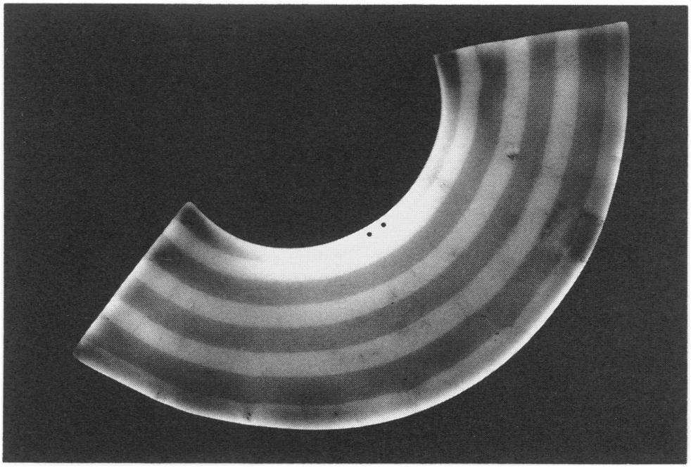 method was used.62 A hammer-welding technique was apparently also employed for the manufacture of two pectorals in the American Museum of Natural History (41.