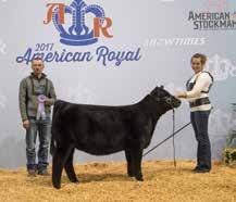 36 101 62 Black Polled 1/2 SM 1/2 AN Female ASA#3307321 \ Tattoo: E413 \ BD: 5-7-17 Adj : 77 ET \ Adj : N/A In years past, these are the kind of heifers you would find in our project pen.