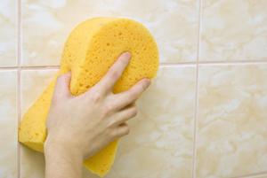 Can You Guess? 1. Which absorbs water better: a dry sponge or a wet sponge?