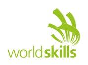 THE WORLDSKILLS STANDARDS SPECIFICATION (WSSS) GENERAL NOTES ON THE WSSS The WSSS specifies the knowledge, understanding, and specific skills that underpin international best practice in technical