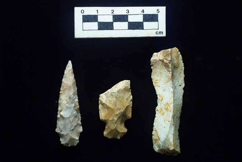Figure 7. Lithic tools recovered from surface collection of Poplar Springs Mound.