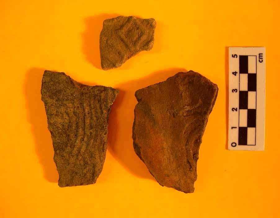 Figure 9. Swift Creek sherds recovered from Poplar Springs Mound by Scott Nidy (DHR) during the 1973 investigation.