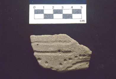 Figure 19. Mississippian Ceramics donated from Poplar Springs Mound: Cool Branch Incised sherd (left) and shell-tempered plain sherd (right).