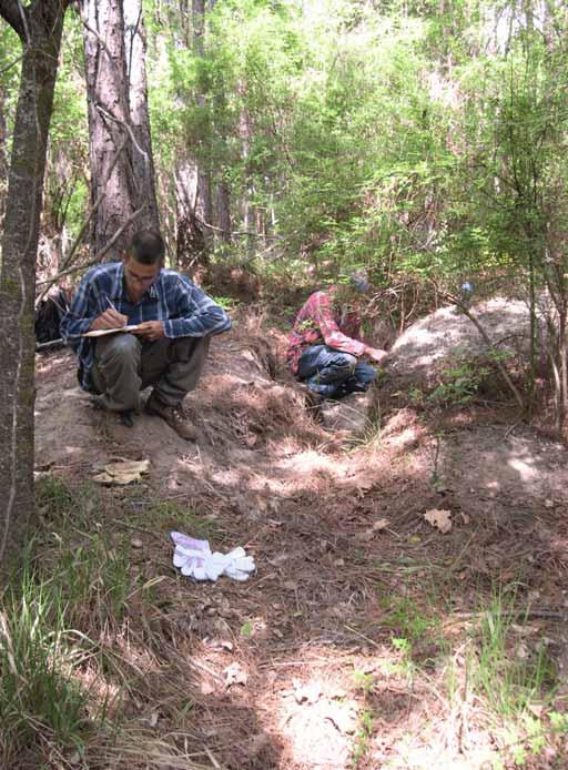Figure 44. Looter s trench through Micheaux Log Landing. Sean Dejardin in background and Ernesto Ruiz in foreground. Estiffanulga, 8Li7. Estiffanulga mound, 1.