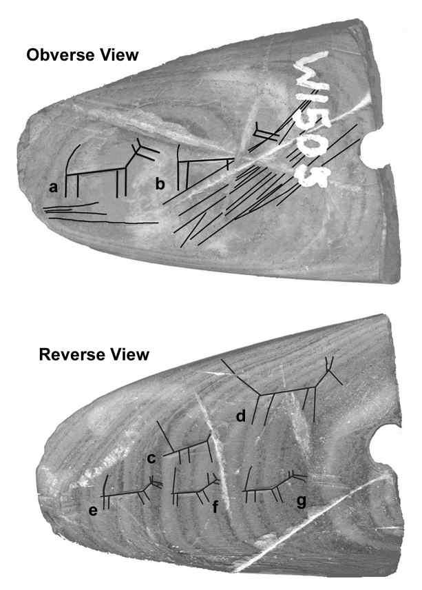 68 Ontario Archaeology No. 79/80, 2005 Figure 7. Depictions of animal figures engraved on slate gorget from the Garnham Collection, South Norwich Township, Ontario (Ellis 2002:24, Figure 2).