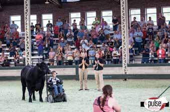 Registered Angus Females Special Donation - 50% of her proceeds go towards Tracks for Alec Gotto 1 Deppe Lady Blackcap 6124 1 4/23/16 - Reg.