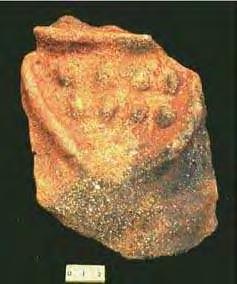 Figure 4. Sherd decorated in incised, bumped and raised line design, from the looting at Los Coamajales. After our visit to the site, Mr.
