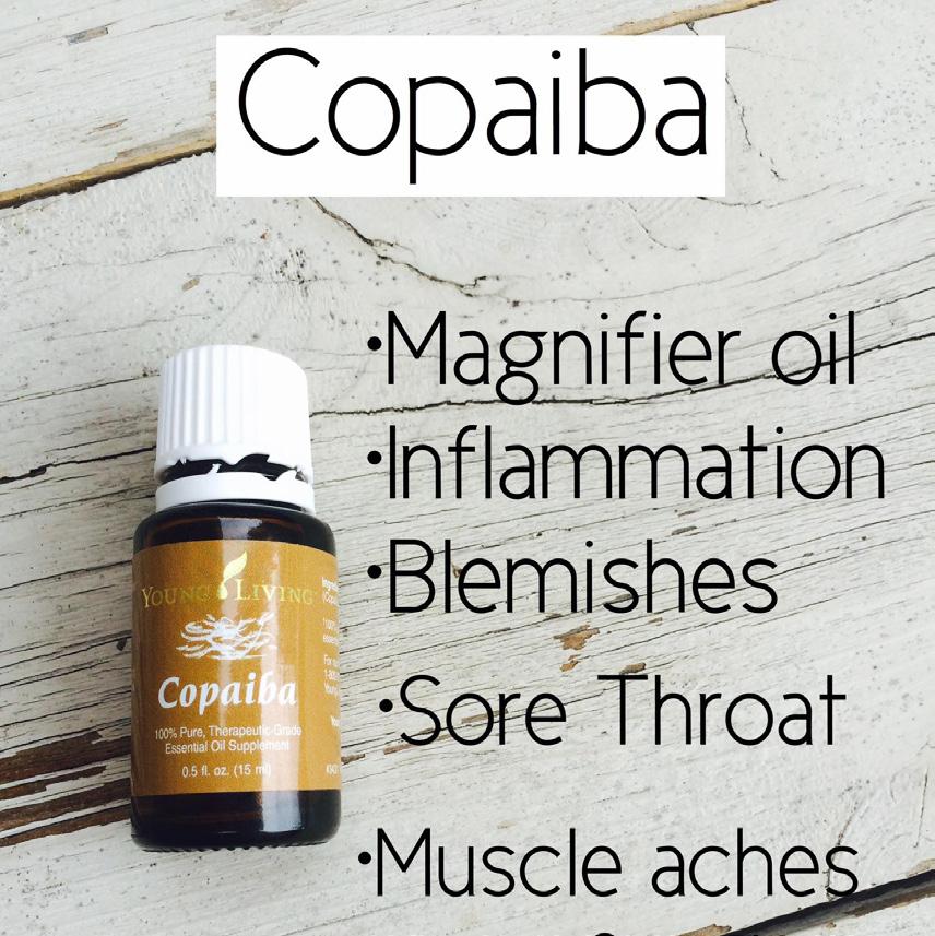 Copaiba (pronounced Ko-pah-ee-bah ) is a powerful essential oil from South America that has traditionally been used to aid digestion and support the body s natural response to injury or irritation.