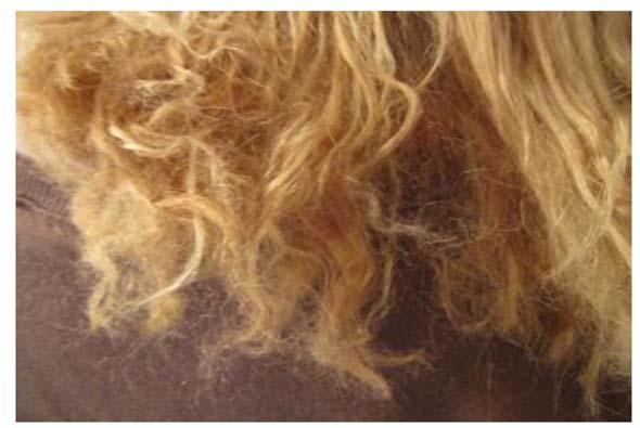 Case:-cv-0-EDL Document Filed0// Page of 0 0 0 Above two photos from https://www.facebook.com/pages/suave-keratin-infusion-kit-destroyed-my- Hair/0.