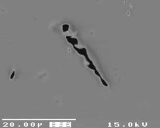 In this backscattered electron image, the dark spots represent the surface expression of the needle-like inclusions in the Sunset quartz. Note the irregular outline of the central needle. Image by M.