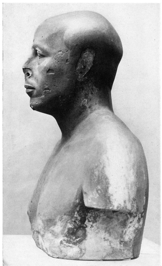 BULLETIN OF THE MUSEUM OF FINE ARTS XXXVII, 45 Prince Ankh-haf, left profile bust