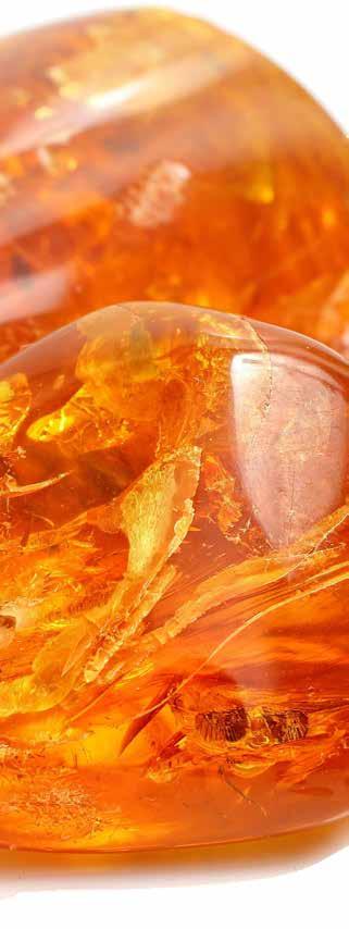 amber When it comes to traditional healing, amber is an ingredient that has long since been used, but has only recently begun making its way into modern skin care products.