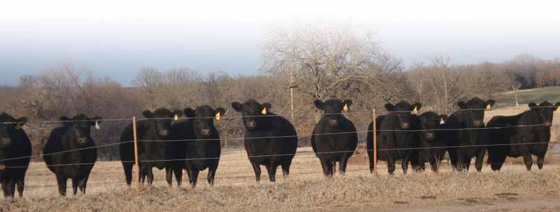 Sale Location Farm is located between uthrie and Perkins, Oklahoma, 13 miles east of I-35 (8 miles west of Hwy. 177), just north of Hwy. 33 on Karsten Creek Road.
