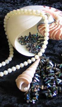Gem quality shells, Mother of Pearl, Abalone-Paua and other beautiful gifts