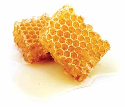 Royal Jelly Rich in proteins, amino acids, lipids, natural hormones, minerals, folic acid, fatty acids and vitamins A, B complex, C, D and E, Royal Jelly is extremely nutritious.