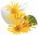 Arnica Used to treat bruising, wounds and swelling, Arnica is one of the most popular