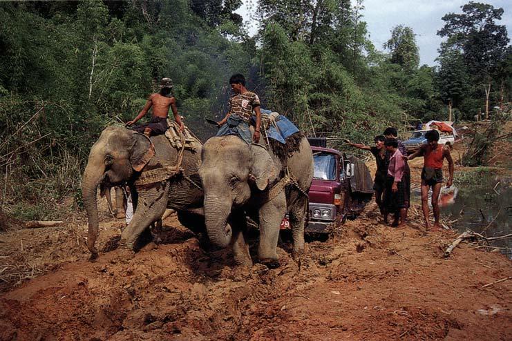 Figure 3. Both routes into Hpakan are virtually impassable during the rainy season. They require travel through dense jungle, in dirt that rapidly turns to mud.