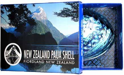 POLISHED NZ PAUA SHELLS IN
