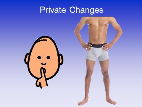 During puberty you will also go through changes that no one else will be able to see. These changes are in areas that are covered by your underwear.