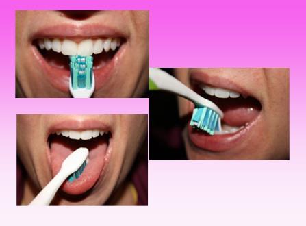 Demonstrate and explain proper brushing and flossing of teeth using RCC model and toothbrush. Instruct students to brush teeth while singing the ABC song.