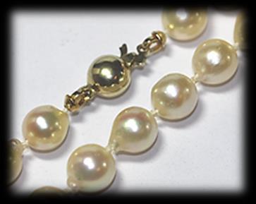 37 pearls strung and knotted to a length of 45cm onto a 9 carat yellow polished gold Signoretti clasp. Mass: 46.
