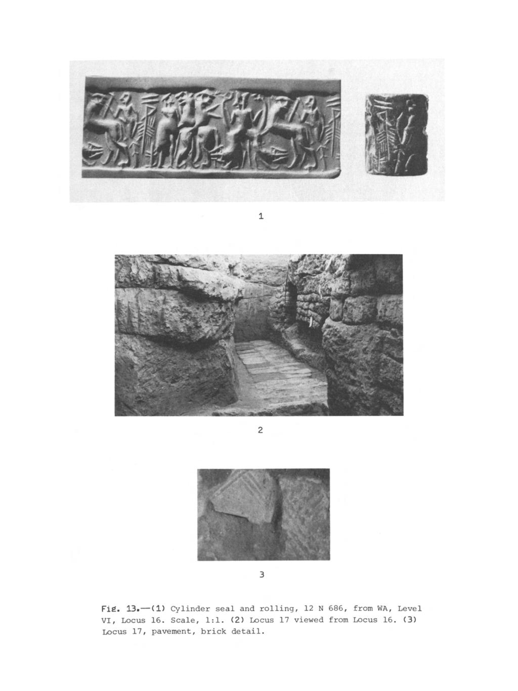 1 Fig. 13.-(1) Cylinder seal and rolling, 12 N 686, from WA, Level VI, Locus 16.