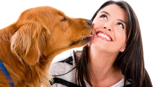 Animal Scents Dental Pet Chew Oral care is just as