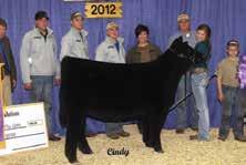 produced SAMS Echo, the Reserve Jr. National Champion Plus Female in 2015. Midnight Bunny is no doubt going to add to the list of banner hangers from this cow family.