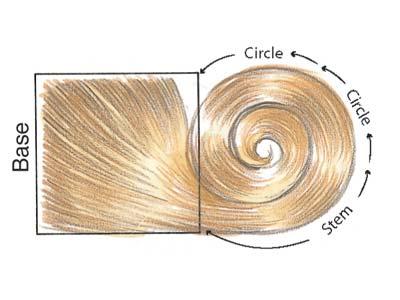 PARTS OF A PIN CURL Base stationary; foundation of the curl; area closest to the scalp Stem gives curl its direction and